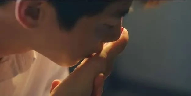 西檬之家-k9是什么？