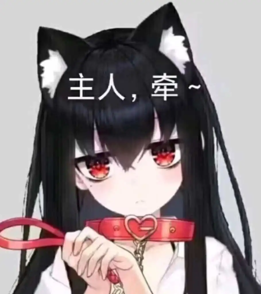 Sp：实用指南