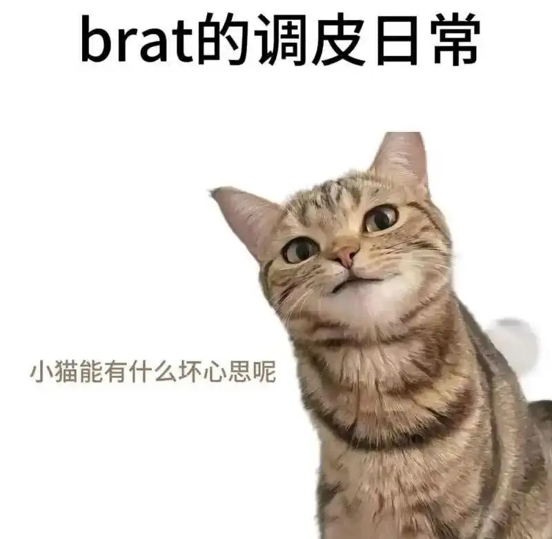 【西檬之家】Spank入门：字母圈新人必知的SP实践与沟通指南