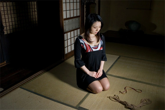 BDSM - 1358082