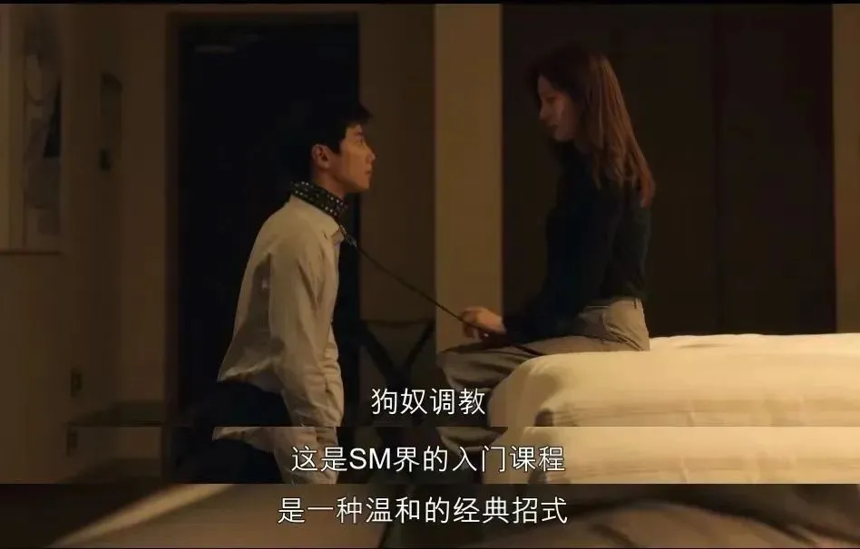 【西檬之家】BDSM字母圈的DOM是什么意思？