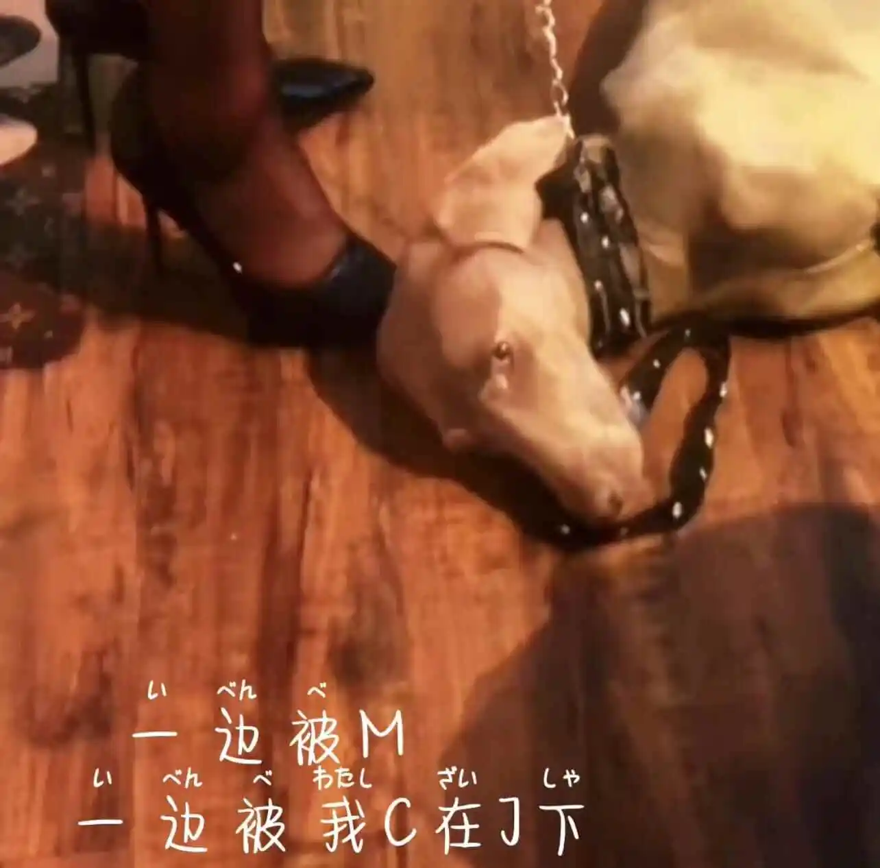 西檬之家-BDSM中的Brat属性是什么？