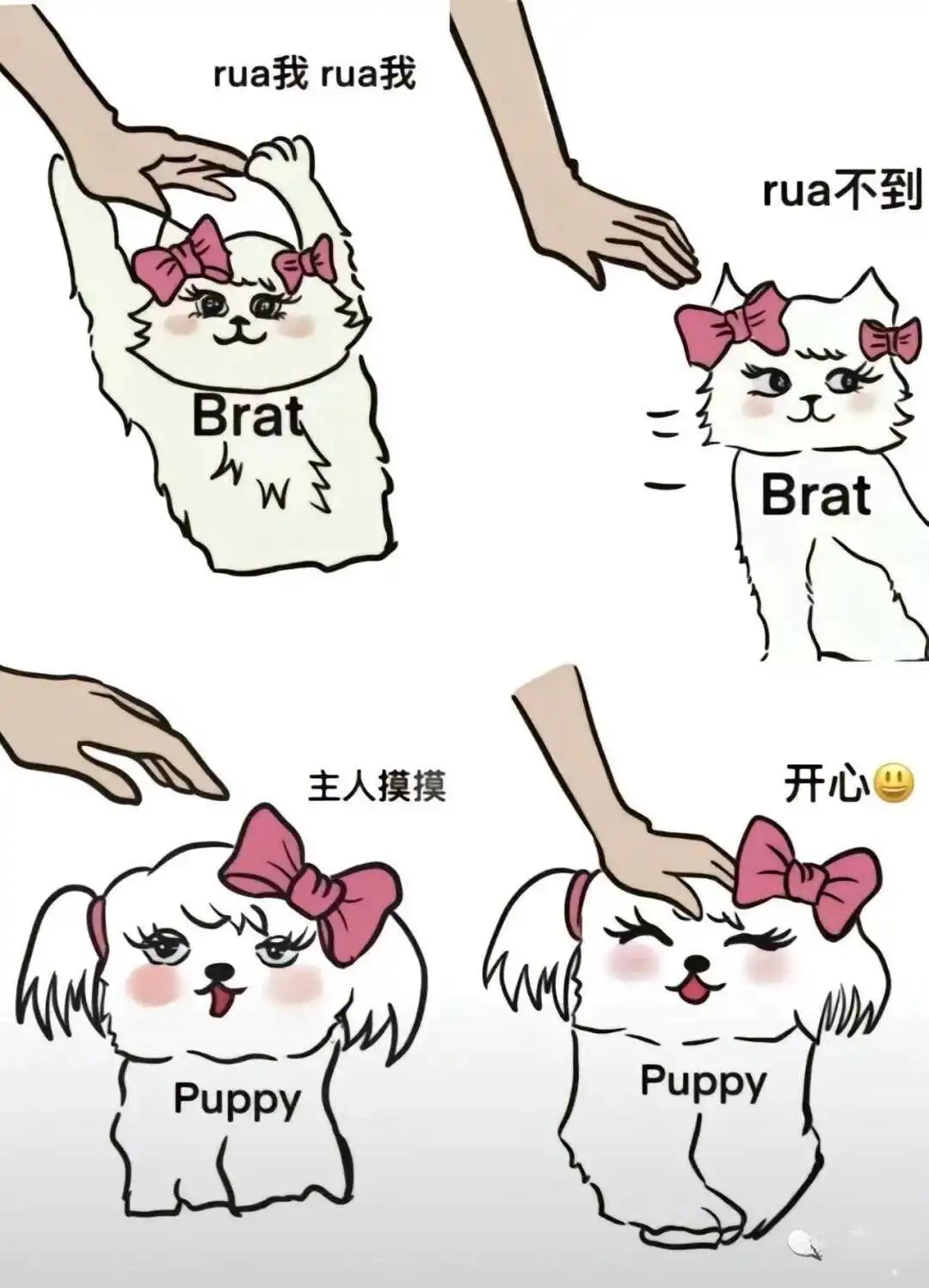 西檬之家-字母圈女王是什么？全方位解析女王魅力