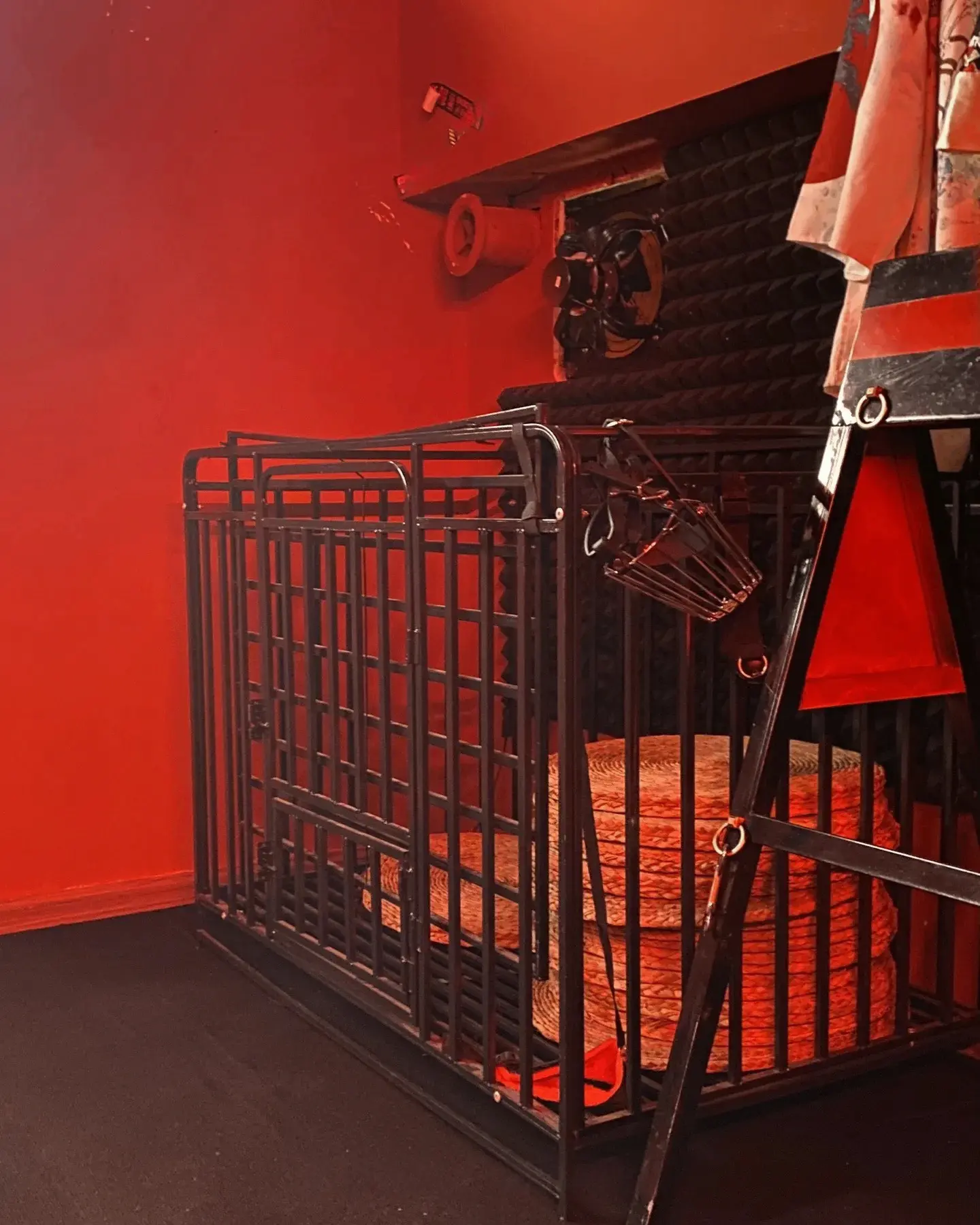 【西檬之家】字母圈新人如何入圈？BDSM新手指南