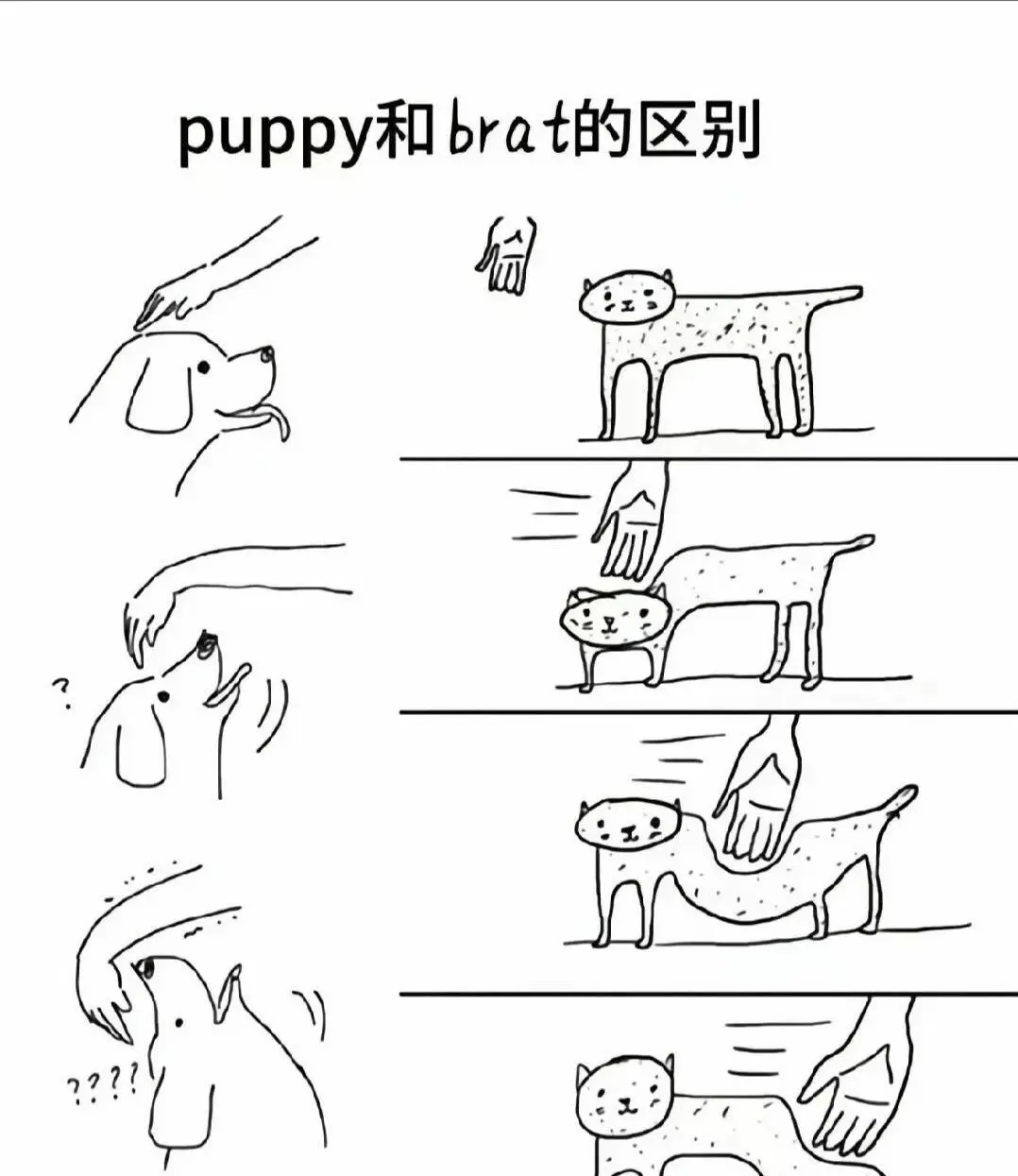 【西檬之家】K9是什么？字母圈宠物扮演中的犬系角色解析