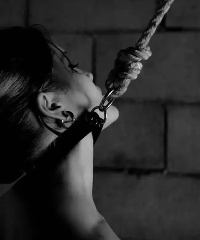 TK - 微信图片_20251203212920_111_19