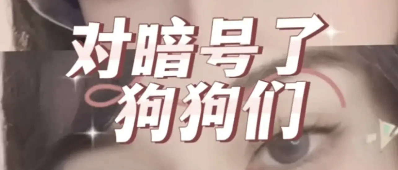 西檬之家-字母圈DOM是什么意思？