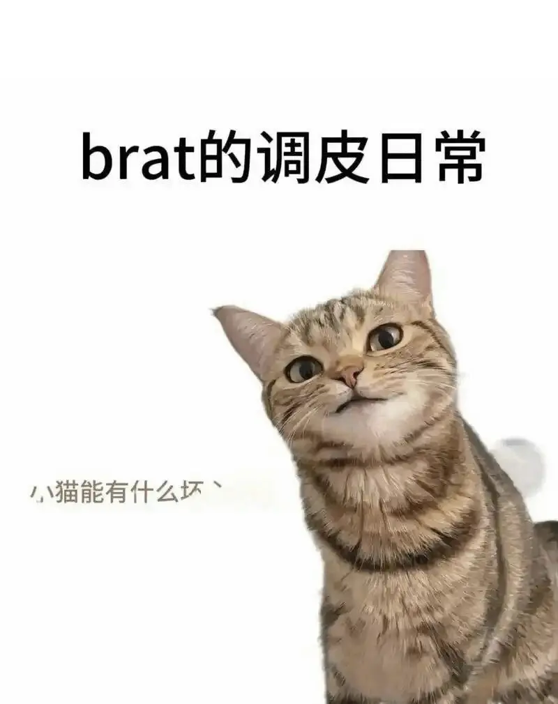 西檬之家-小圈新人必读指南：认识字母圈的核心术语