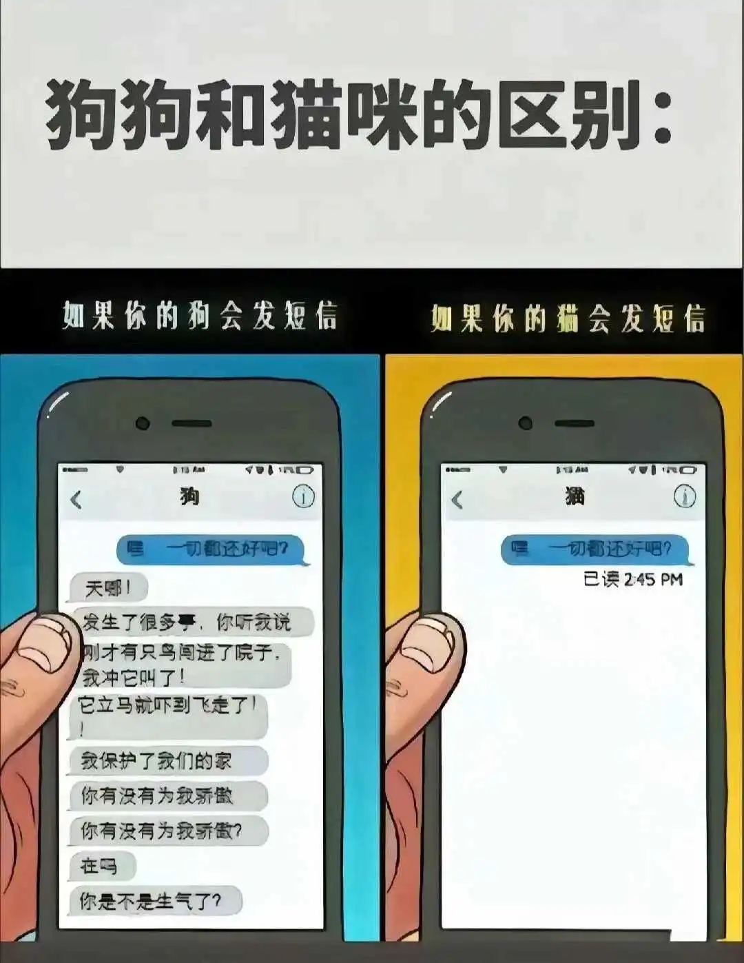 西檬之家-TK是什么?字母圈新人入门向挠痒痒指南